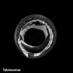 لوله-فلکسیبل-General