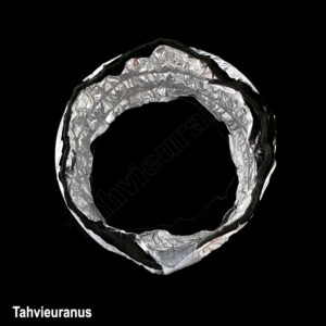 لوله فلکسیبل PL دوازده و نیم سانت 6 متری