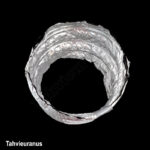 لوله-فلکسیبل-Rubber